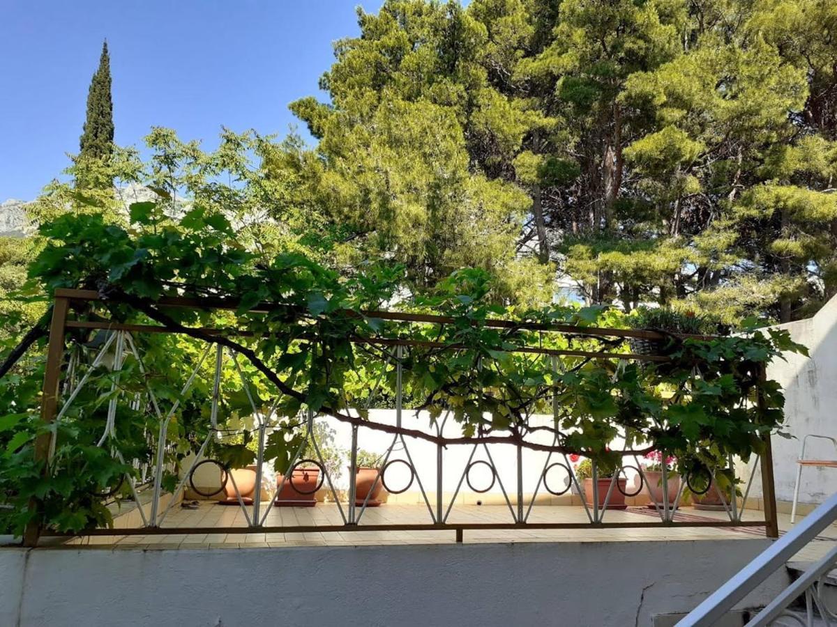 Palma Apartments Подгора Екстер'єр фото
